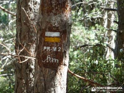 Circo de La Pedriza;bastones senderismo las presillas rascafria mochilas senderismo